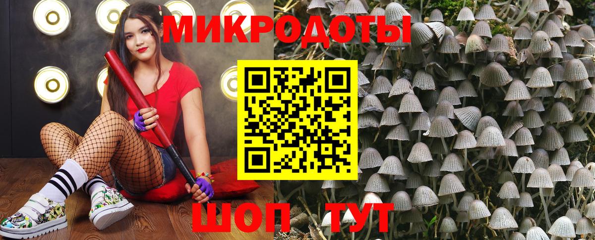 Псилоцибиновые грибы Psilocybine cubensis  Бузулук 