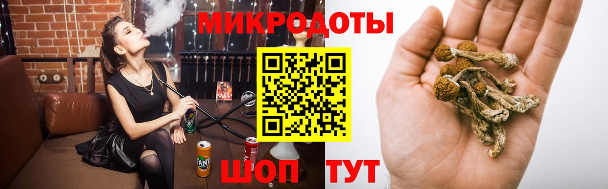 хочу   Вход с VPN  Бузулук  Псилоцибиновые грибы MAGIC MUSHROOMS  Галлюциногенные грибы Psilocybe 